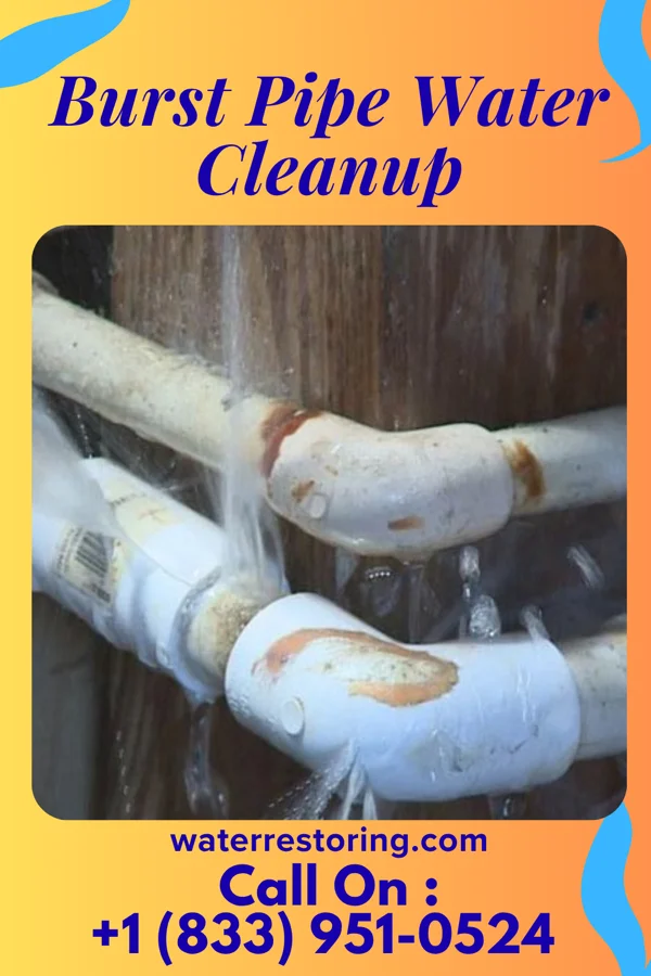 Burst Pipe Water Cleanup in Kenton, OH