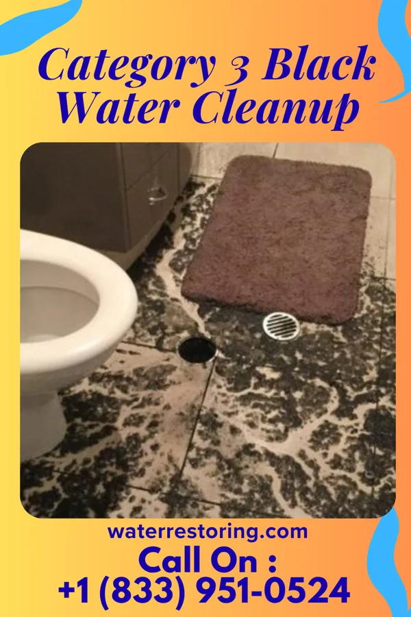 Category 3 Black Water Cleanup in Kenton, OH