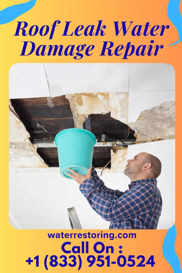 Roof Leak Water Damage Repair in Kenton, OH